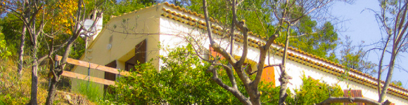 Post With Large Image